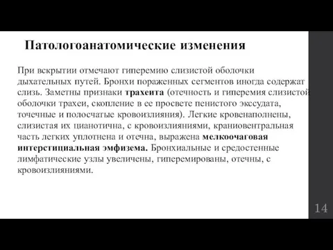 Патологоанатомические изменения При вскрытии отмечают гиперемию слизистой оболочки дыхательных путей. Бронхи пораженных