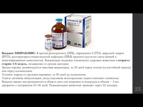 Вакцина ХИПРАБОВИС-4 против ринотрахеита (IBR), парагриппа-3 (PI3), вирусной диареи (BVD), респираторно-синцитиальной инфекции