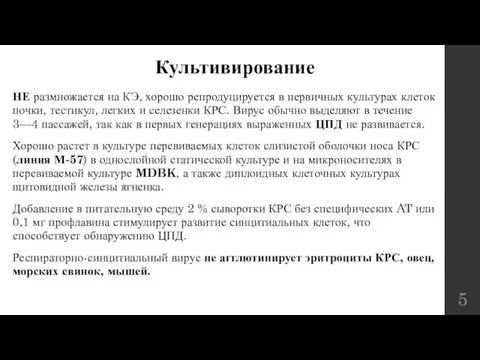 Культивирование НЕ размножается на КЭ, хорошо репродуцируется в первичных культурах клеток почки,