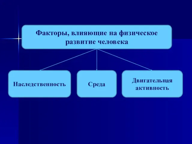 Факторы, влияющие на физическое развитие человека Наследственность Среда Двигательная активность