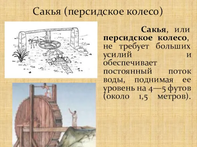 Сакья (персидское колесо) Сакья, или персидское колесо, не требует больших усилий и