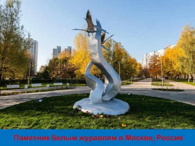 Памятник белым журавлям в Москве, Россия