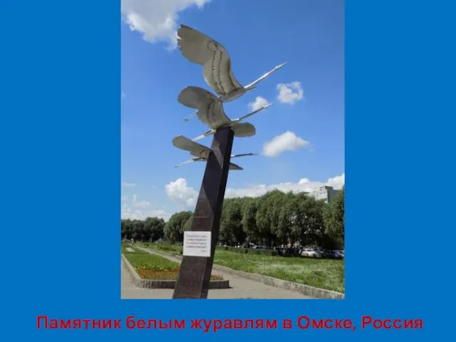 Памятник белым журавлям в Омске, Россия