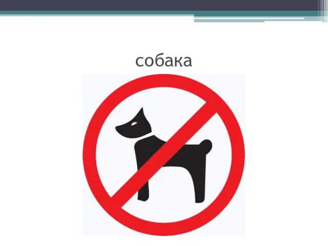 собака