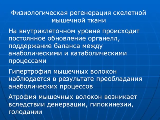 Физиологическая регенерация скелетной мышечной ткани На внутриклеточном уровне происходит постоянное обновление органелл,