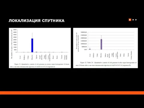 ЛОКАЛИЗАЦИЯ СПУТНИКА