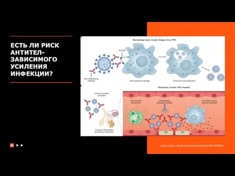 ЕСТЬ ЛИ РИСК АНТИТЕЛ-ЗАВИСИМОГО УСИЛЕНИЯ ИНФЕКЦИИ? https://www.nature.com/articles/s41564-020-00789-5