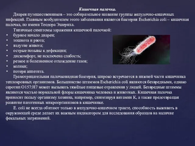 Кишечная палочка. Диарея путешественников – это собирательное название группы желудочно-кишечных инфекций. Главным