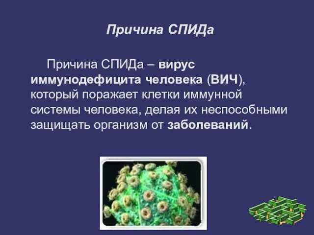 Причина СПИДа Причина СПИДа – вирус иммунодефицита человека (ВИЧ), который поражает клетки