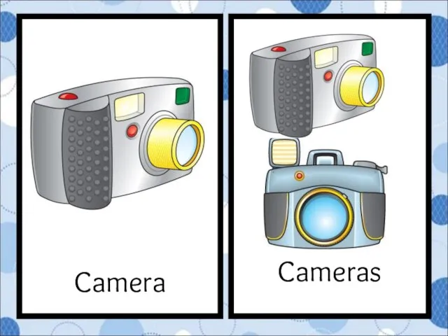 Cameras Camera