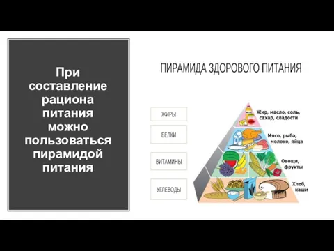 При составление рациона питания можно пользоваться пирамидой питания