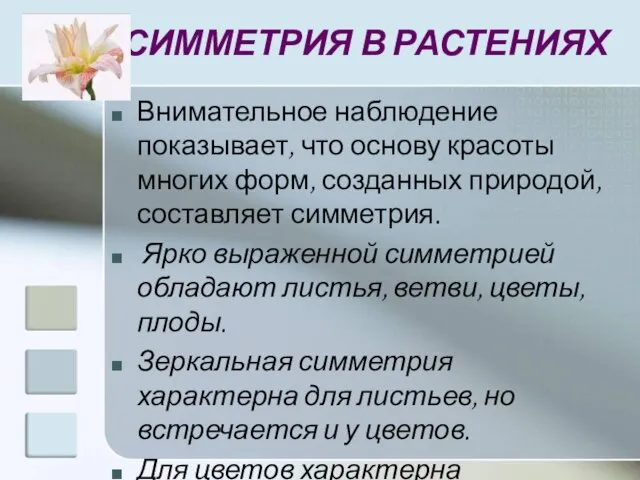 СИММЕТРИЯ В РАСТЕНИЯХ Внимательное наблюдение показывает, что основу красоты многих форм, созданных