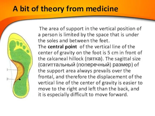 A bit of theory from medicine The area of ​​support in the