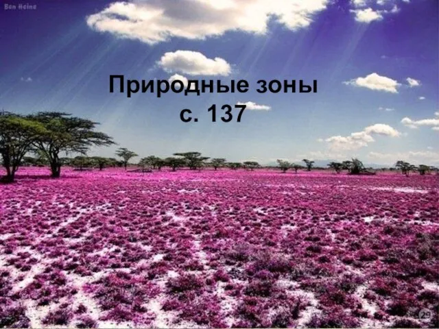 Природные зоны с. 137