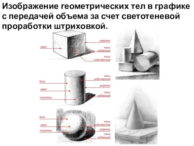 Изображение геометрических тел в графике с передачей объема за счет светотеневой проработки штриховкой.