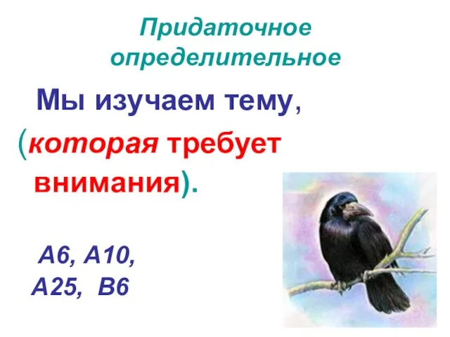 Придаточное определительное Мы изучаем тему, (которая требует внимания). А6, А10, А25, В6