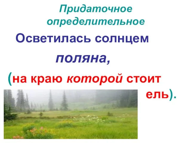 Придаточное определительное Осветилась солнцем поляна, (на краю которой стоит ель).