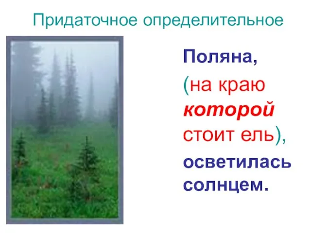 Придаточное определительное Поляна, (на краю которой стоит ель), осветилась солнцем.