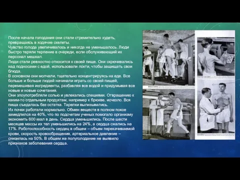 После начала голодания они стали стремительно худеть, превращаясь в ходячие скелеты. Чувство