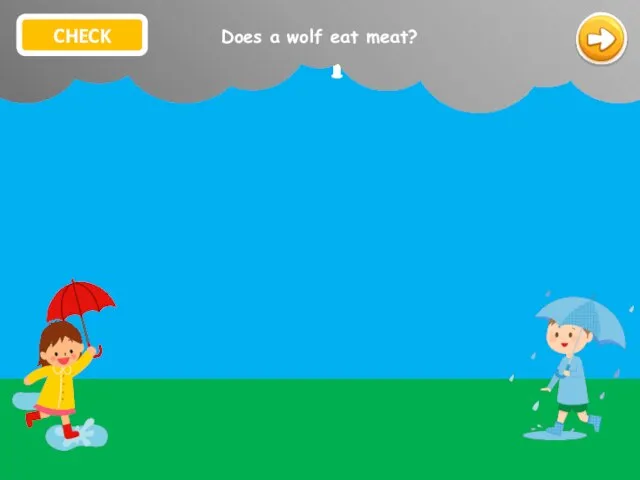 wolf a Does eat meat? Does a wolf eat meat? CHECK