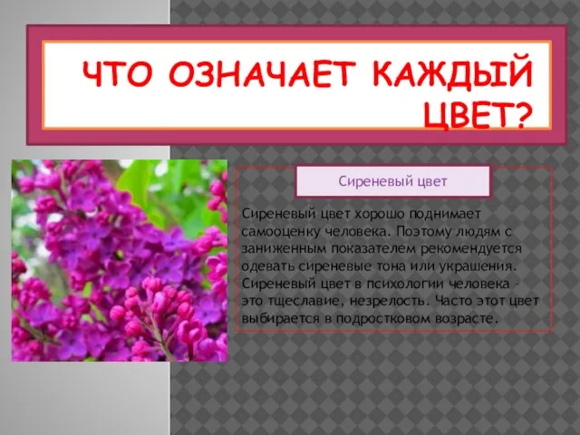 ЧТО ОЗНАЧАЕТ КАЖДЫЙ ЦВЕТ? Сиреневый цвет хорошо поднимает самооценку человека. Поэтому людям