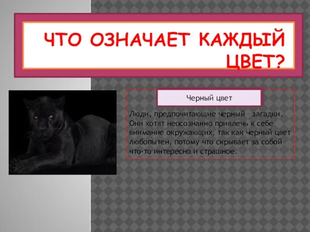 ЧТО ОЗНАЧАЕТ КАЖДЫЙ ЦВЕТ? Люди, предпочитающие черный – загадки. Они хотят неосознанно