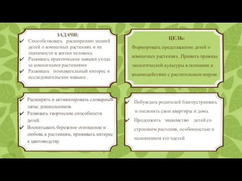 ЦЕЛЬ: Формировать представление детей о комнатных растениях. Привить правила экологической культуры в