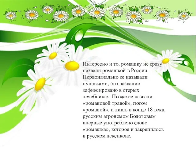 Интересно и то, ромашку не сразу назвали ромашкой в России. Первоначально ее