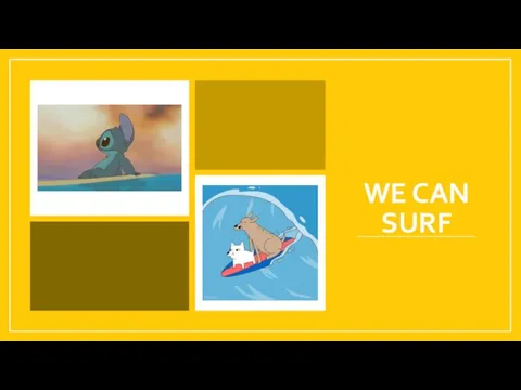 WE CAN SURF