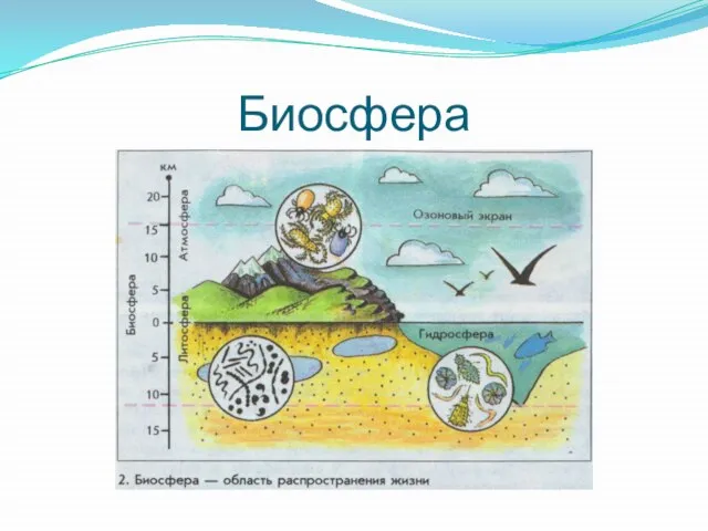 Биосфера