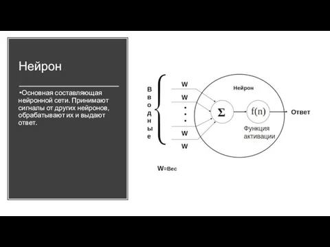 Нейрон Основная составляющая нейронной сети. Принимают сигналы от других нейронов, обрабатывают их и выдают ответ.