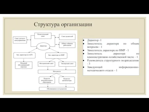 Структура организации Директор -1 Заместитель директора по общим вопросам - 1 Заместитель