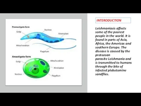 Leishmaniasis affects some of the poorest people in the world. It is