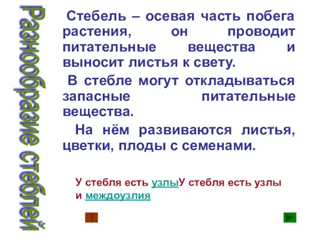 Стебель – осевая часть побега растения, он проводит питательные вещества и выносит