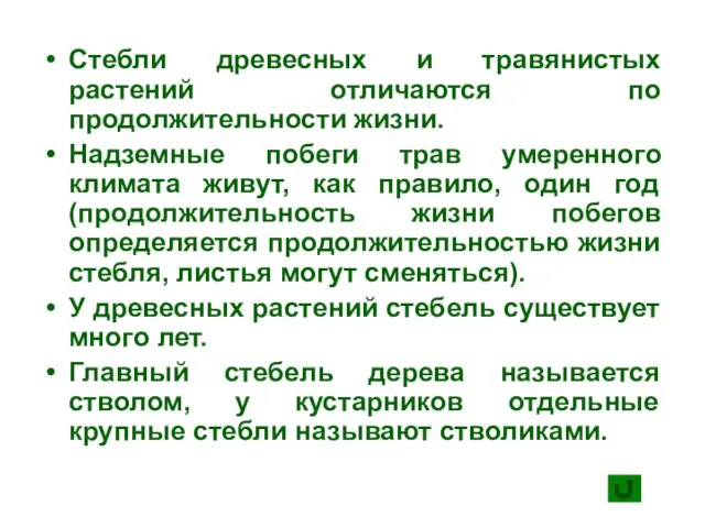 Стебли древесных и травянистых растений отличаются по продолжительности жизни. Надземные побеги трав