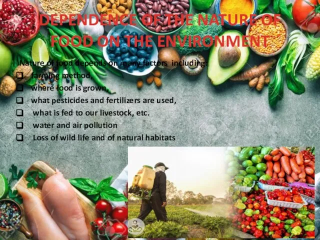 DEPENDENCE OF THE NATURE OF FOOD ON THE ENVIRONMENT Nature of food