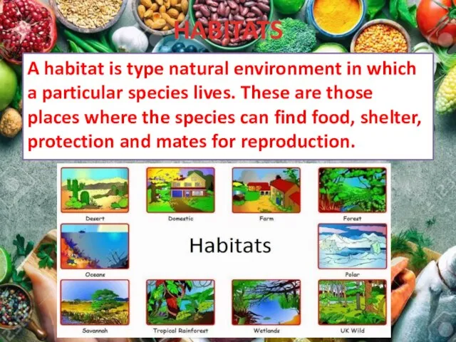 HABITATS A habitat is type natural environment in which a particular species