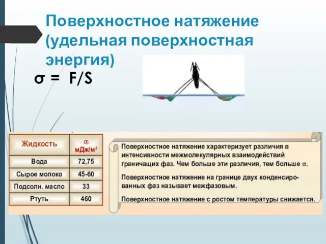 Поверхностное натяжение (удельная поверхностная энергия) σ = F/S