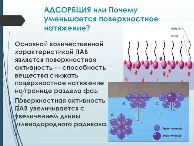 АДСОРБЦИЯ или Почему уменьшается поверхностное натяжение? Основной количественной характеристикой ПАВ является поверхностная