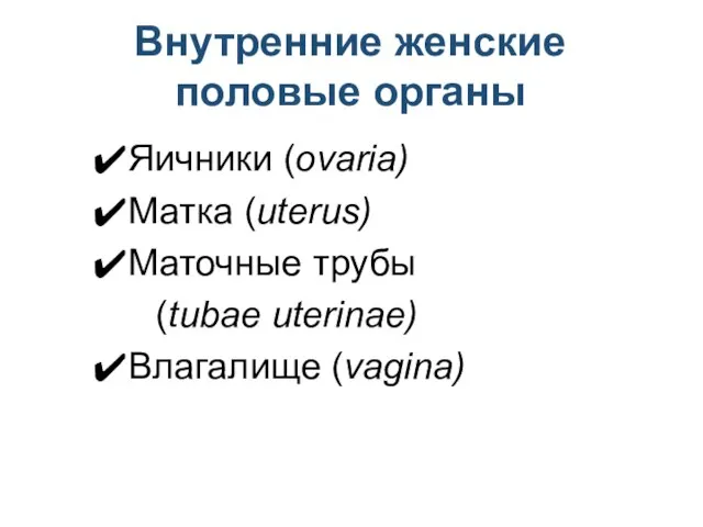 Внутренние женские половые органы Яичники (ovaria) Матка (uterus) Маточные трубы (tubae uterinae) Влагалище (vagina)
