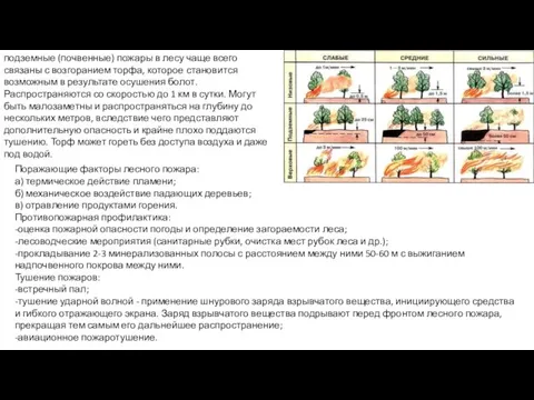 подземные (почвенные) пожары в лесу чаще всего связаны с возгоранием торфа, которое