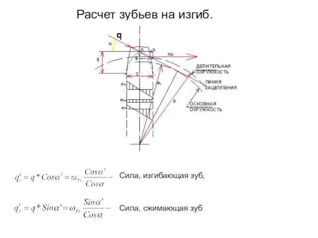 Расчет зубьев на изгиб. Сила, изгибающая зуб, Сила, сжимающая зуб