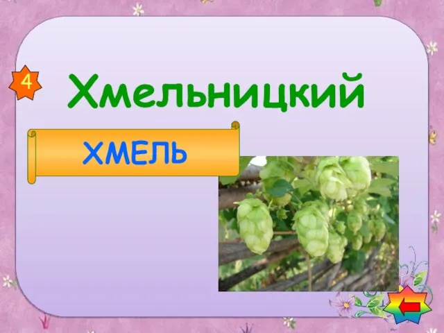 Хмельницкий ХМЕЛЬ 4 Найди названия растений в названии городов