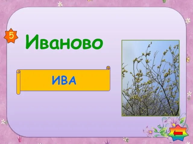 Иваново ИВА 5 Найди названия растений в названии городов