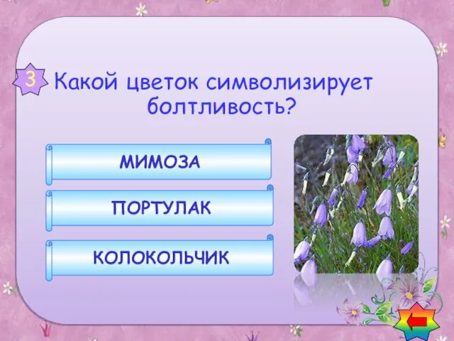 Какой цветок символизирует болтливость? КОЛОКОЛЬЧИК ПОРТУЛАК МИМОЗА 3 Вопросы о цветах