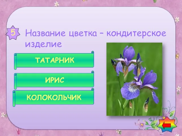 Название цветка – кондитерское изделие КОЛОКОЛЬЧИК ИРИС ТАТАРНИК 5 Вопросы о цветах