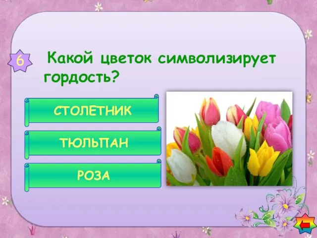 Какой цветок символизирует гордость? РОЗА ТЮЛЬПАН СТОЛЕТНИК 6 Вопросы о цветах