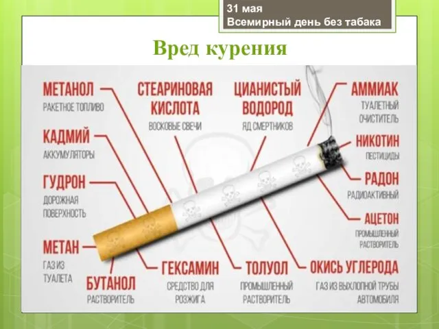 Вред курения 31 мая Всемирный день без табака