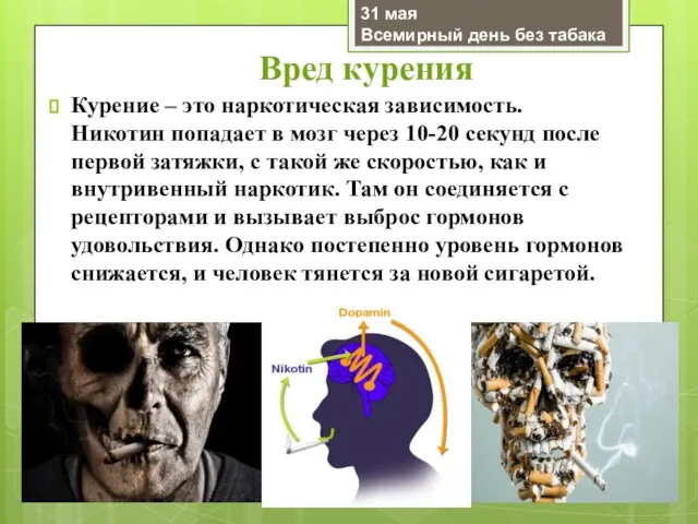 Вред курения Курение – это наркотическая зависимость. Никотин попадает в мозг через