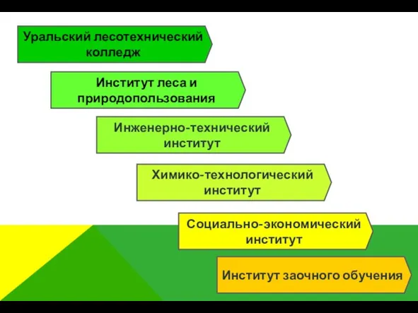 Институт леса и природопользования Инженерно-технический институт Химико-технологический институт Институт заочного обучения Социально-экономический институт Уральский лесотехнический колледж